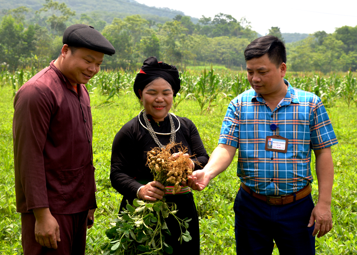 Lãnh đạo xã Tiên Yên (Quang Bình) kiểm tra việc sản xuất nông nghiệp của người dân.
