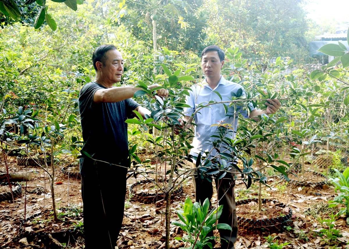 Đảng viên Nguyễn Hữu Hiển (bên trái), giáo phận Hưng Hóa, thôn Xuân Hòa, xã Tân Quang (Bắc Quang) điển hình trong phát triển kinh tế của xã.
