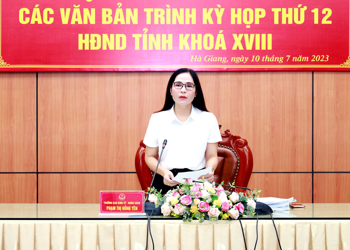 Đồng chí Phạm Thị Hồng Yên, Trưởng ban Kinh tế - Ngân sách HĐND tỉnh kết luận cuộc họp.
