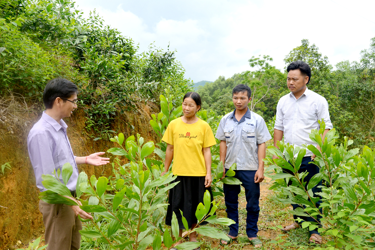 Cán bộ nông nghiệp xã Tân Bắc hướng dẫn đồng bào dân tộc Pà Thẻn kỹ thuật chăm sóc cây trồng. 				Ảnh: MỘC LAN
