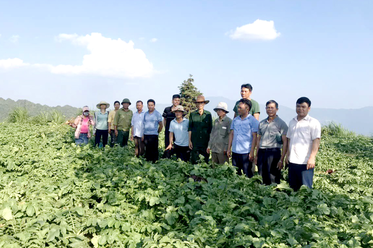  Du khách trải nghiệm vùng trồng Củ cải xuất khẩu sang thị trường Nhật Bản.