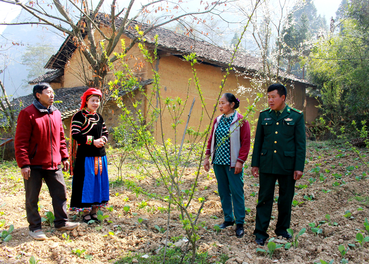 Người dân xã Phố Là chuyển đổi đất trồng cây, giúp tăng thu nhập, giảm nghèo bền vững.
