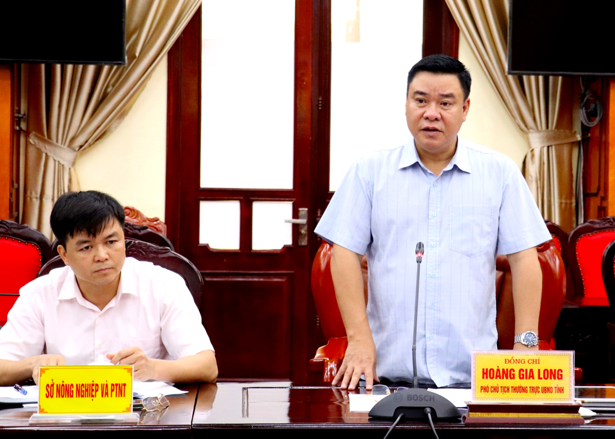 Phó Chủ tịch Thường trực UBND tỉnh Hoàng Gia Long phát biểu tại buổi làm việc.
