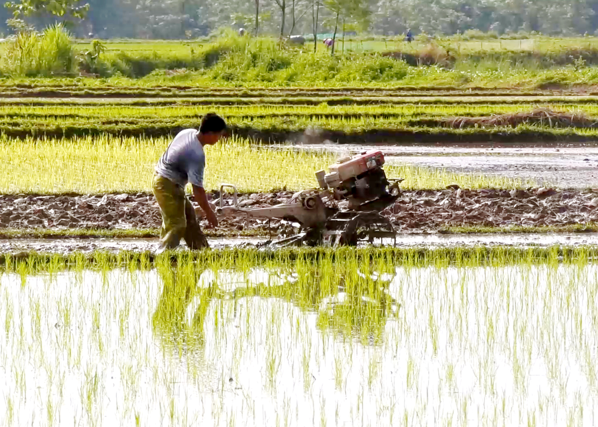  Nông dân xã Bằng Lang (Quang Bình) ứng dụng cơ giới hóa trong sản xuất nông nghiệp.