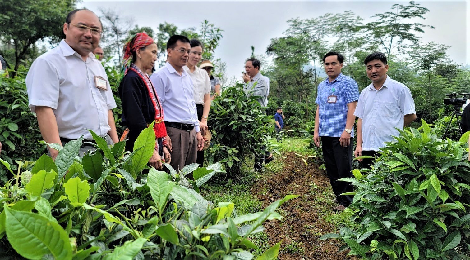 Lãnh đạo huyện Bắc Quang kiểm tra mô hình chè hữu cơ của hội viên Hội Nông dân xã Đức Xuân.

