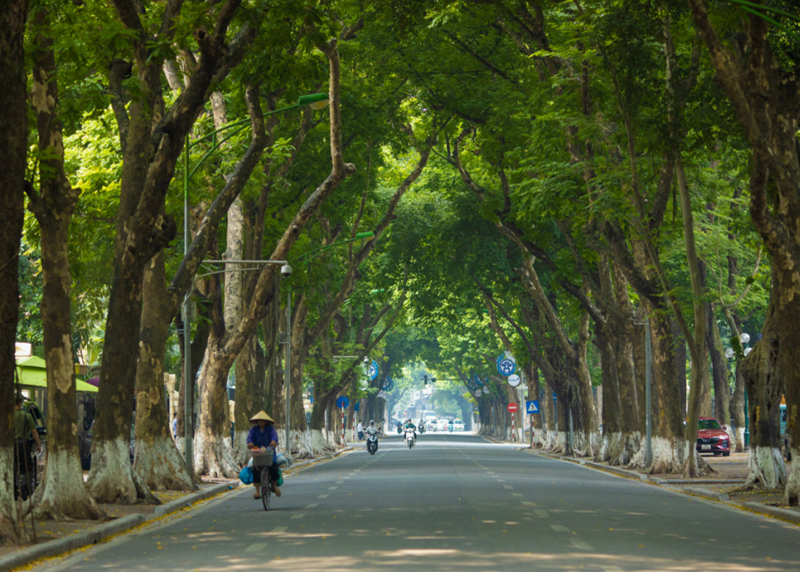Đường Phan Đình Phùng, một trong những con đường đẹp nhất thủ đô Hà Nội. 