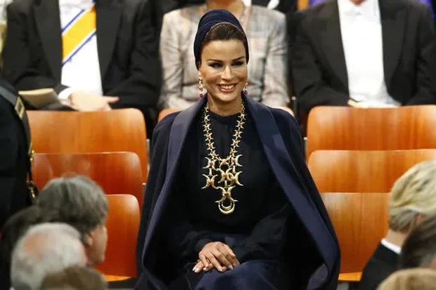 Sheikha Moza sinh ra ở Qatar nhưng lớn lên ở Ai Cập và Kuwait. Năm 18 tuổi, bà trở lại Qatar để kết hôn với Hamad bin Khalifa Al Thani, một thành viên của gia đình Vương thất Qatar, người cuối cùng đã lên ngôi vào năm 1995.