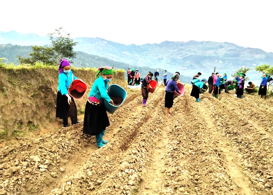 Lớp học thực hành trồng rau an toàn ở xã Tả Nhìu thu hút nhiều người dân tham gia.