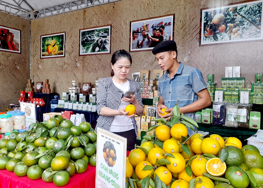 Người tiêu dùng truy xuất nguồn gốc sản phẩm cam của Hợp tác xã nông nghiệp tổng hợp Việt Tiến, xã Hương Sơn (Quang Bình).