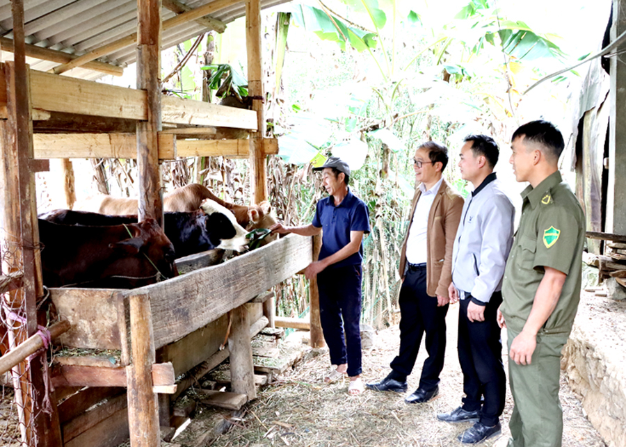 Trưởng thôn Ly Xìa Sính (ngoài cùng bên trái) hướng dẫn các kỹ thuật chăn nuôi bò, giúp nâng cao thu nhập. 				Ảnh: THÁI KHANG
