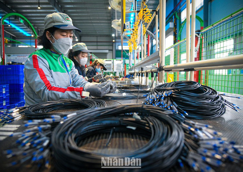 ADB nâng dự báo tăng trưởng kinh tế Việt Nam lên mức 7,5% trong năm 2022. 