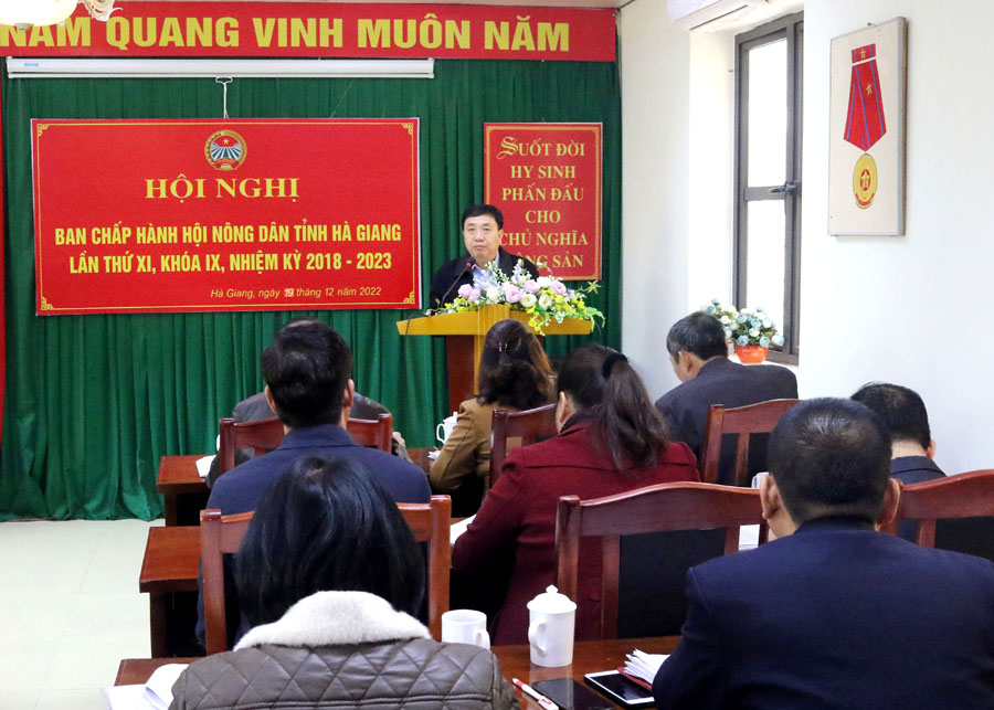 Đồng chí Nguyễn Mạnh Dũng, Phó Bí thư Tỉnh ủy phát biểu tại hội nghị.

