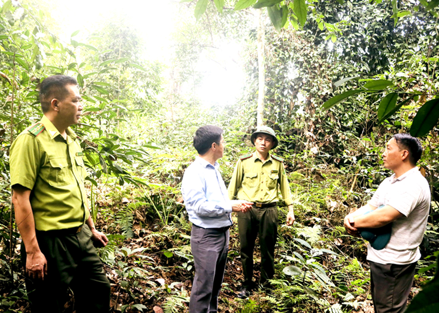 Cán bộ Hạt Kiểm lâm rừng đặc dụng Phong Quang - Tây Côn Lĩnh tuần tra bảo vệ rừng.
