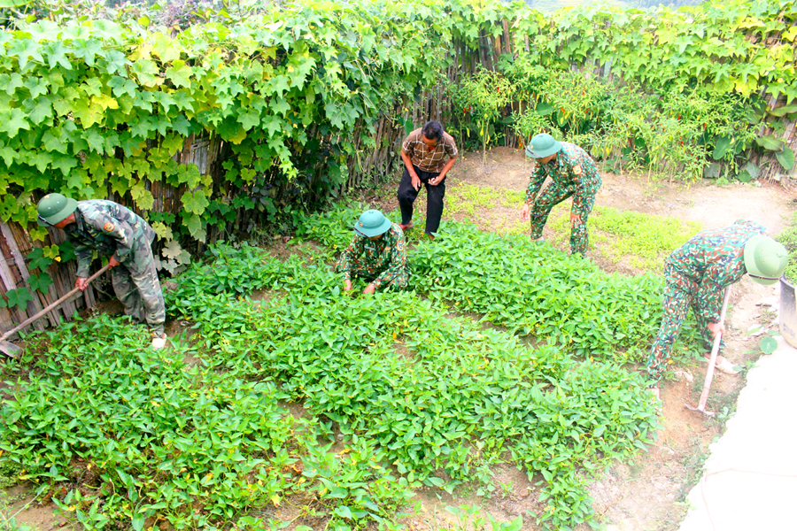 Cán bộ, chiến sỹ Đồn Biên phòng Thàng Tín (Hoàng Su Phì) giúp người dân xã Pố Lồ cải tạo vườn tạp.
