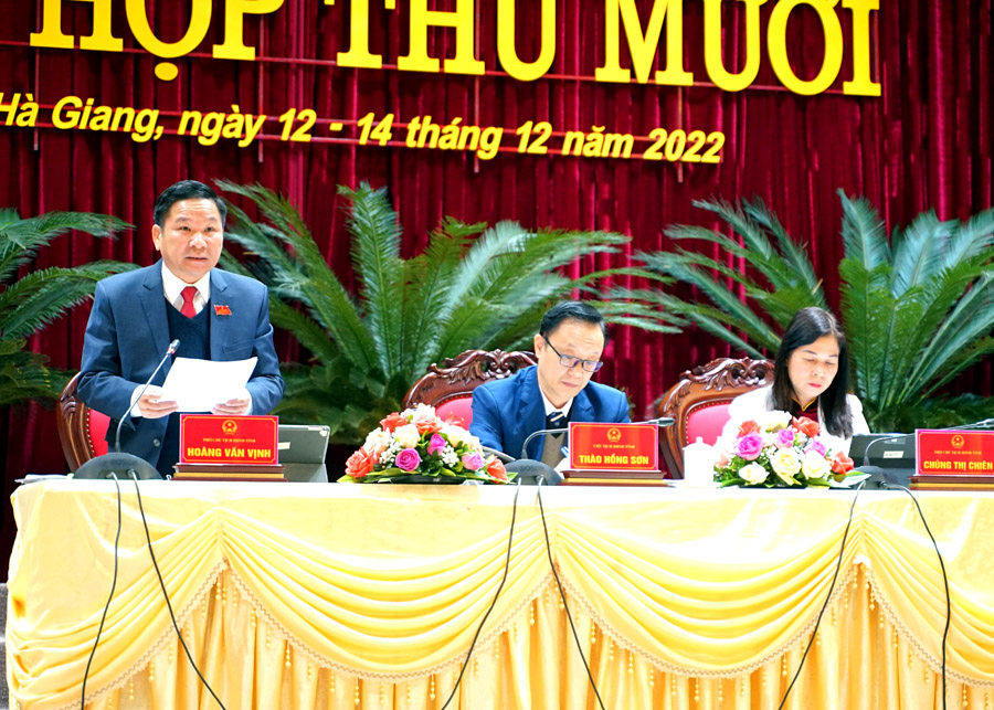 Phó Chủ tịch HĐND tỉnh Hoàng Văn Vịnh tổng hợp các nội dung tại phiên thảo luận.
