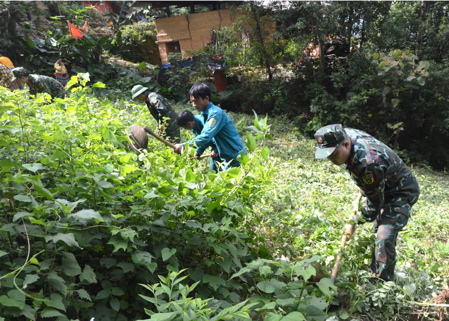 Đảng viên Chi bộ Quân sự xã Pà Vầy Sủ (Xín Mần) cùng người dân cải tạo vườn tạp, phát triển kinh tế vườn hộ.