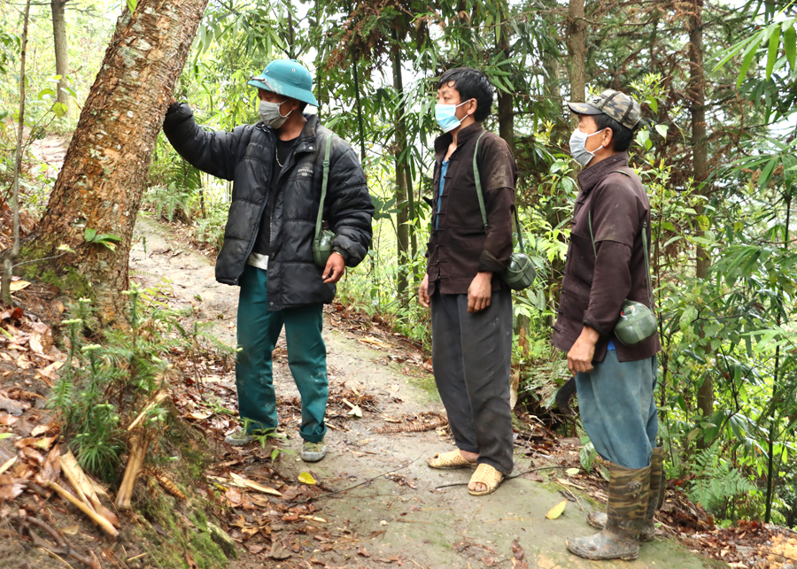 Tổ bảo vệ rừng thôn Pải Lủng, xã Pải Lủng thực hiện công tác tuần tra, bảo vệ rừng.
