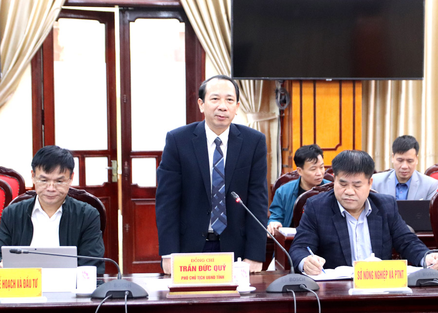 Phó Chủ tịch UBND tỉnh Trần Đức Quý phát biểu tại buổi làm việc. 
