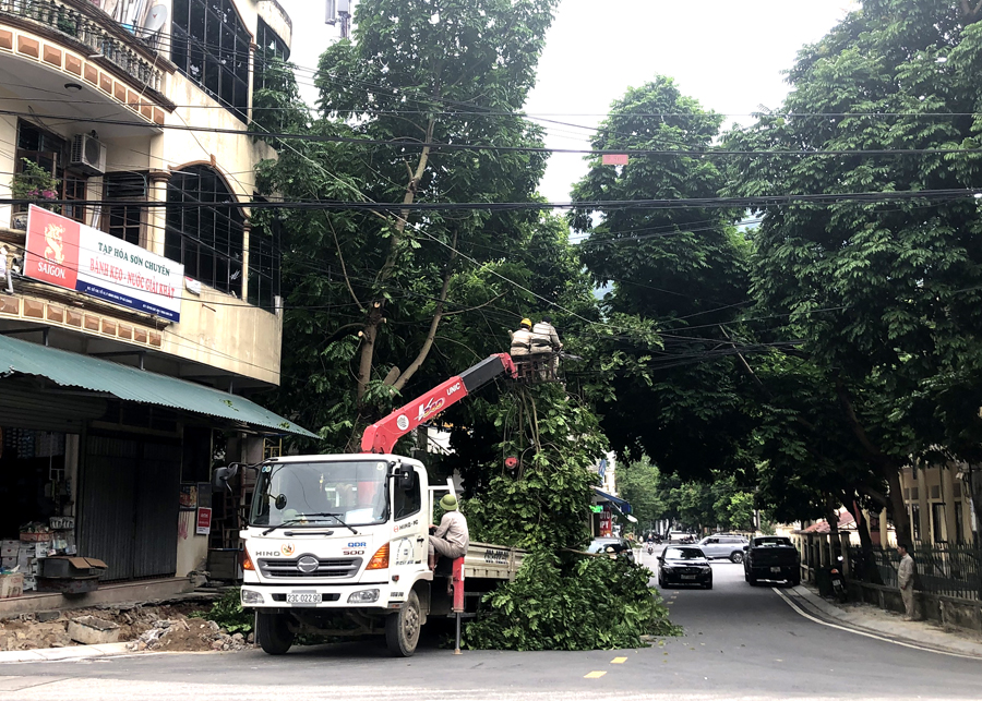 Công nhân Công ty Cổ phần Môi trường đô thị Hà Giang cắt tỉa cây xanh trên địa bàn thành phố.
