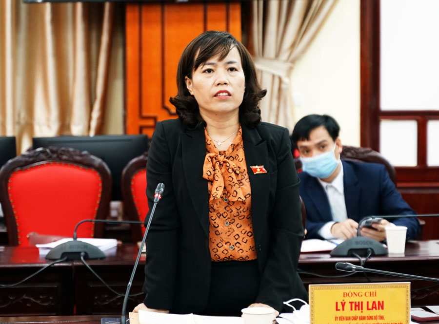 Phó Trưởng đoàn ĐBQH chuyên trách khóa XV tỉnh Hà Giang Lý Thị Lan phát biểu tại buổi giám sát.
