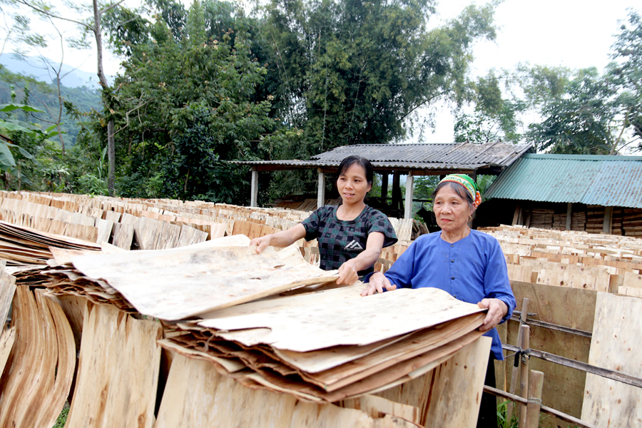 Sản xuất ván bóc từ nguồn nguyên liệu tại chỗ giúp nhân dân các xã phía Đông sông Lô nâng cao thu nhập.
