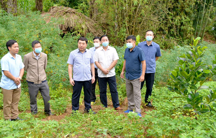 Phó Bí thư Tỉnh ủy Nguyễn Mạnh Dũng cùng Đoàn công tác của Thành ủy kiểm tra cải tạo vườn tạp tại xã Phương Độ.