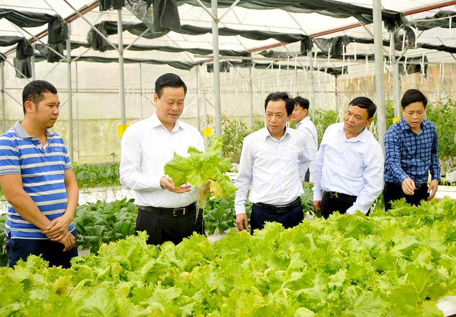Tham quan mô hình trồng rau thủy canh tại thị trấn Yên Minh (Yên Minh). 
						Ảnh: HẢI ĐĂNG	
