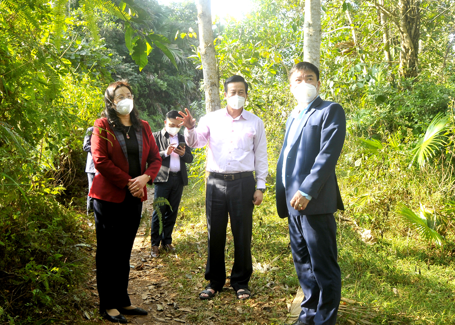 Chủ tịch UBND tỉnh Nguyễn Văn Sơn và các đồng chí lãnh đạo tỉnh khảo sát tại xã Phương Độ.
