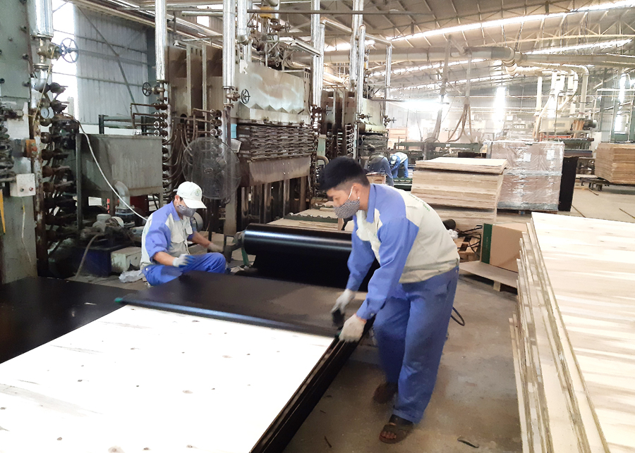 Sản xuất, chế biến gỗ tại Công ty Công nghiệp và xuất, nhập khẩu Lâm nghiệp Hà Giang (Khu công nghiệp Bình Vàng).