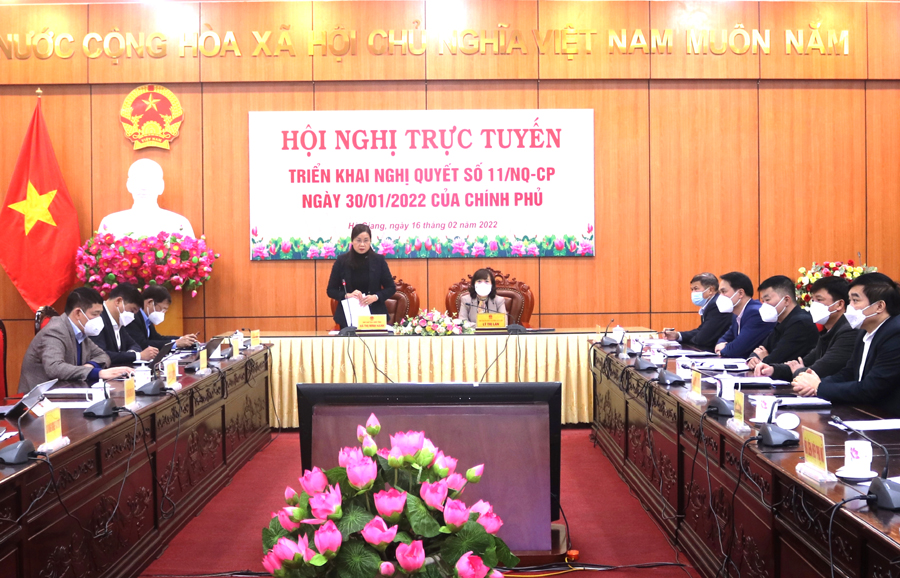 Phó Chủ tịch UBND tỉnh Hà Thị Minh Hạnh phát biểu thảo luận tại hội nghị.
