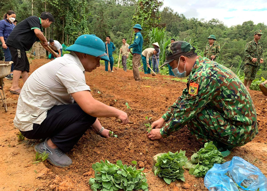 Đồn Biên phòng Bạch Đích (Yên Minh) phối hợp với các lực lượng giúp người dân cải tạo vườn tạp.
