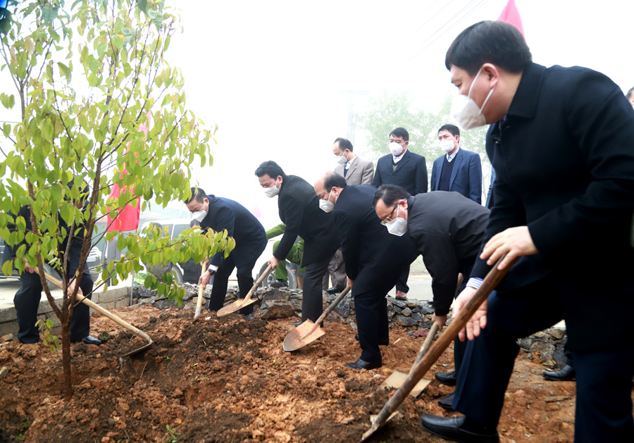 Các đồng chí Thường trực Tỉnh ủy trồng cây lưu niệm tại xã Lũng Cú