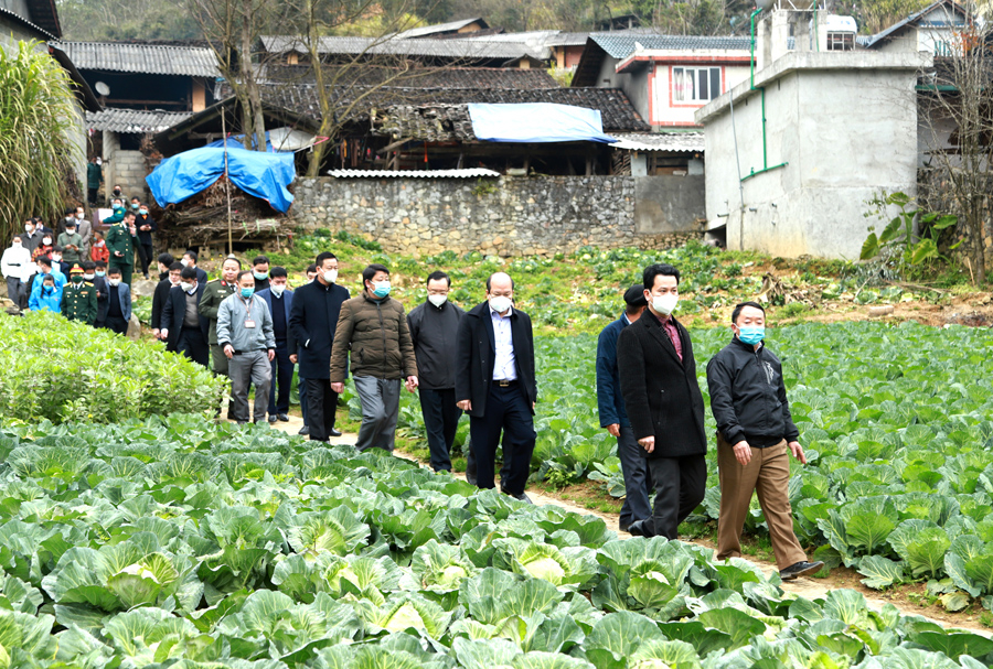 Đoàn thăm mô hình cải tạo vườn tạp tại thôn Séo Lủng, xã Sảng Tủng