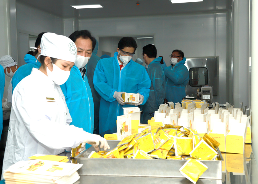 Sản xuất dược liệu tại Nhà máy dược phẩm Bông Sen Vàng (Bắc Quang).