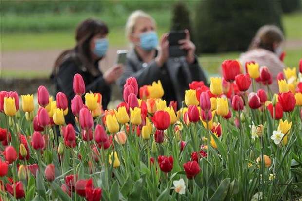 Du khách tại Triển lãm hoa quốc tế ở Brussels, Bỉ