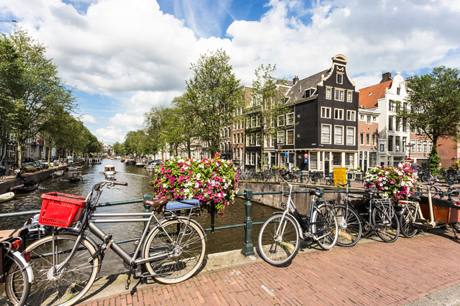Thành phố Amsterdam là điểm đến ngắm hoa được du khách toàn cầu yêu thích nhất. 