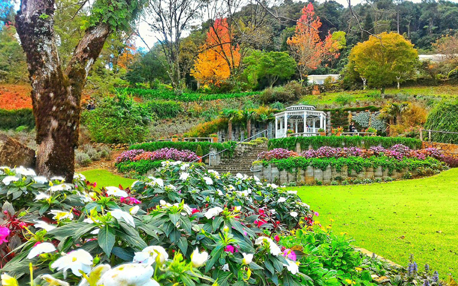Le Jardin Parque de Lavanda đầy tráng lệ bởi sắc màu của thiên nhiên. (