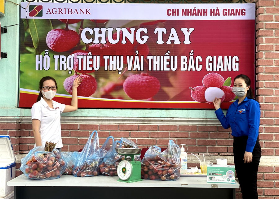 Đoàn Thanh niên Agribank Hà Giang chung tay hỗ trợ tiêu thụ Vải thiều Bắc Giang.                                                                                     Ảnh: ctv