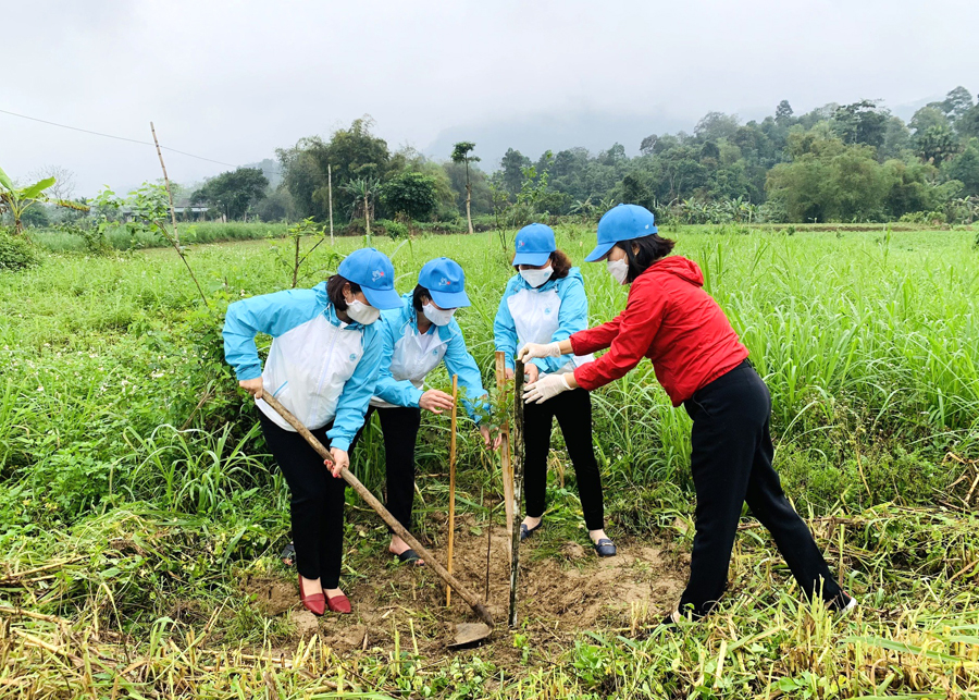 Các đại biểu trồng cây xanh tại xã Việt Lâm (Vị Xuyên)
