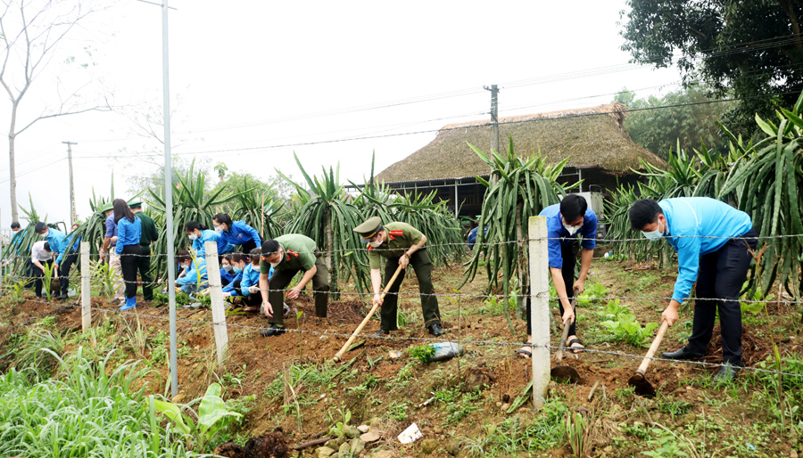 Đông đảo đoàn viên, thanh niên tham gia trồng cây tạo cảnh quan tại xã Đồng Yên.

