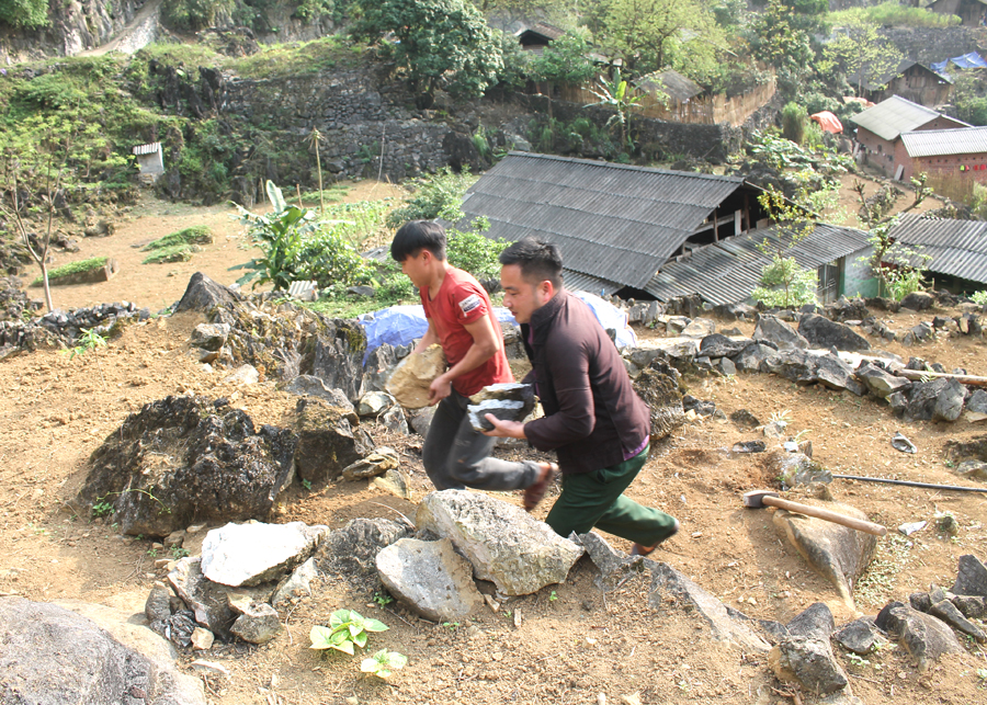 Chủ tịch Cựu chiến binh xã Cán Tỷ Vàng Mí Páo (áo đen) giúp gia đình anh Vàng Mí Hồ, thôn Sủa Cán Tỷ cải tạo vườn tạp.

