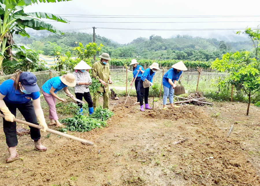 Đoàn viên, thanh niên xã Vĩ Thượng (Quang Bình) giúp người dân cải tạo vườn tạp.
