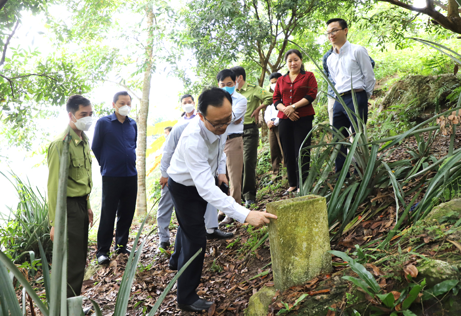 Đồng chí Thào Hồng Sơn, Phó Bí thư Thường trực Tỉnh ủy, Chủ tịch HĐND tỉnh kiểm tra việc cắm mốc khu vực rừng đặc dụng tại xã Thượng Tân.

