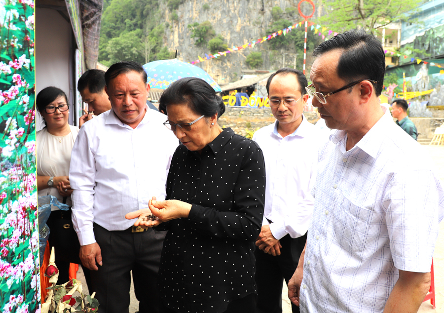 Đồng chí Pany Yathotou, Phó chủ tịch nước CHDCND Lào xem hạt hoa tam giách mạch.