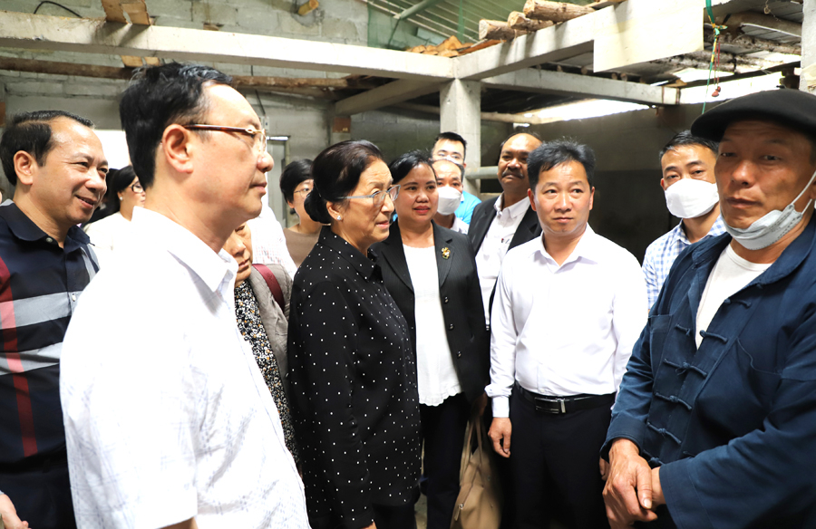 Đoàn đại biểu cấp cao nước CHDCND Lào và các đồng chí lãnh đạo tỉnh thăm mô hình chăn nuôi bò theo hộ gia đình tại xã Pả Vi.