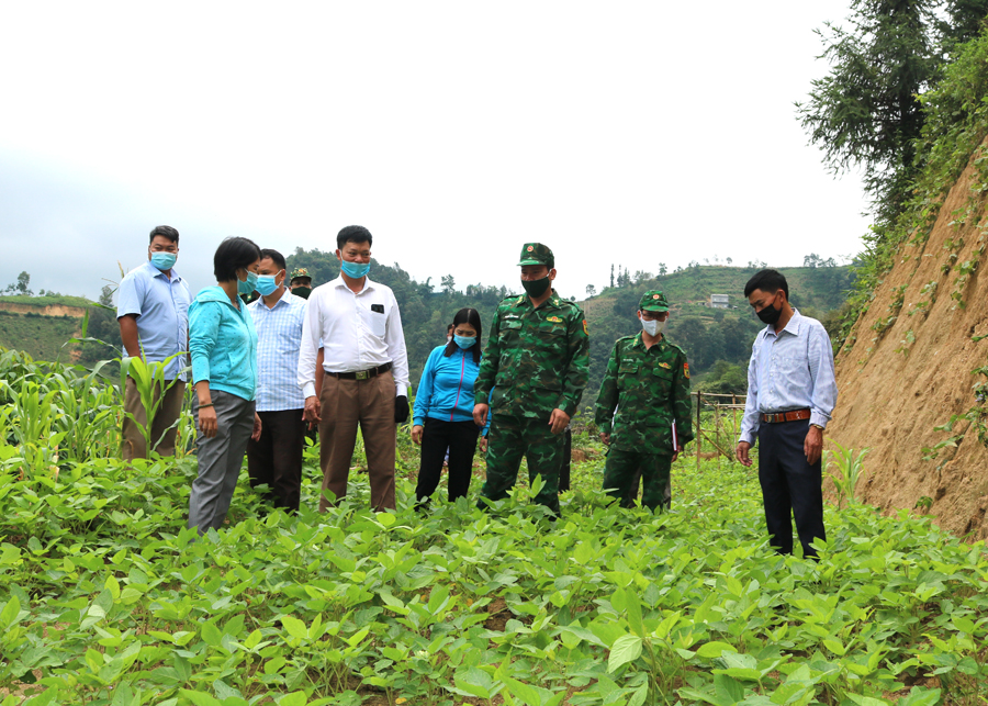 Lãnh đạo Bộ Chỉ huy BĐBP tỉnh và xã Bản Máy kiểm tra diện tích cải tạo vườn tạp của gia đình ông Vàng Diu Quáng, thôn Tả Chải.
