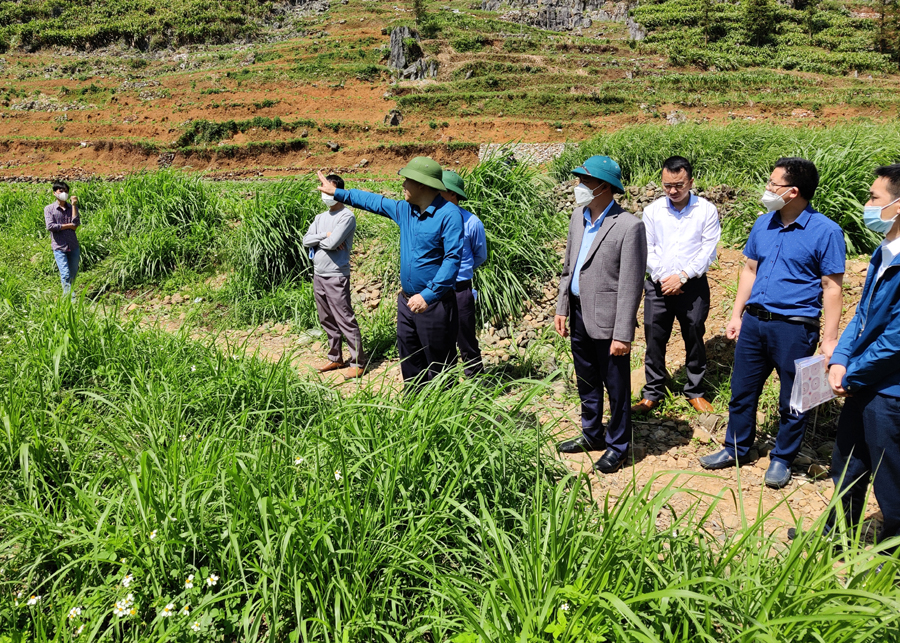 Phó Chủ tịch Thường trực UBND tỉnh Hoàng Gia Long kiểm tra vị trí dự kiến xây kè chống lũ.