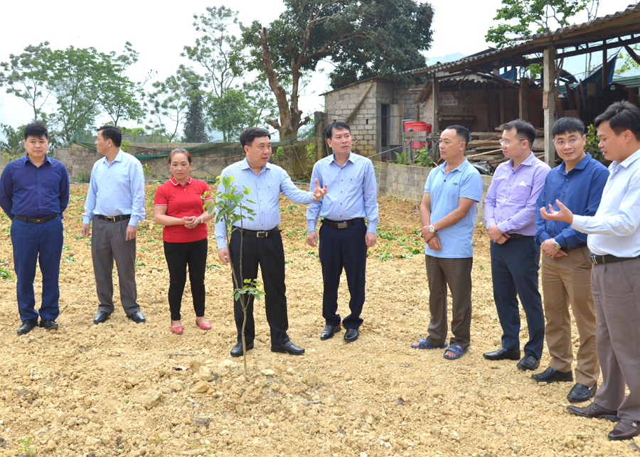 Phó Bí thư Tỉnh ủy Nguyễn Mạnh Dũng thăm mô hình cải tạo vườn tạp thôn Nà Trang thị trấn Tam Sơn.
