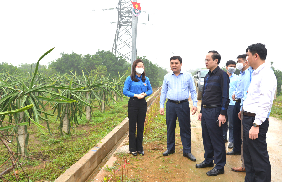 Phó Bí thư Tỉnh ủy Nguyễn Mạnh Dũng thăm mô hình tuyến đường sáng – xanh – sạch – đẹp tại xã Đồng Yên.

