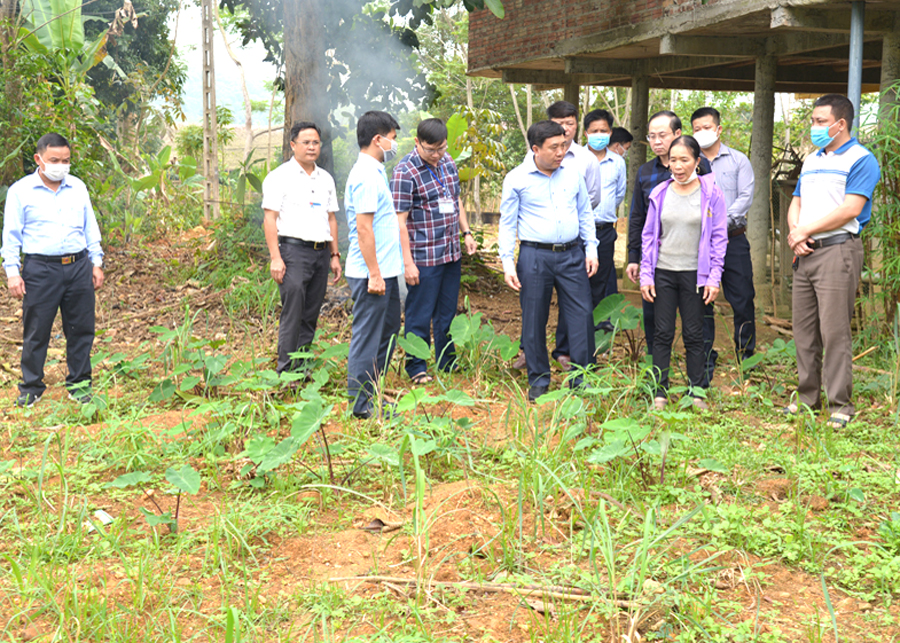 Phó Bí thư Tỉnh ủy Nguyễn Mạnh Dũng thăm mô hình trình cải tạo vườn tạp tại xã Quang Minh.


